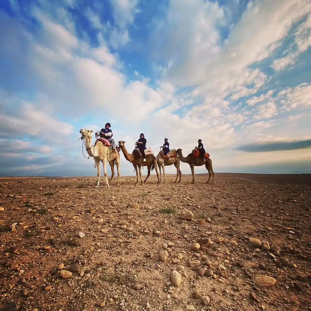 Camel ride experience