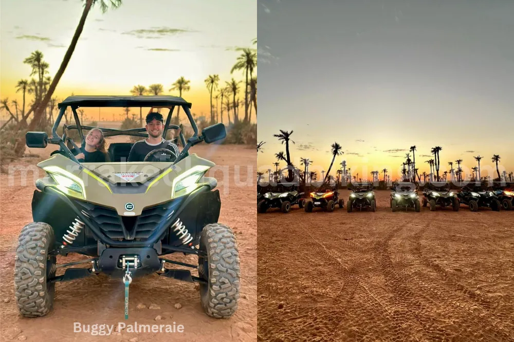 Buggy en el Palmeral