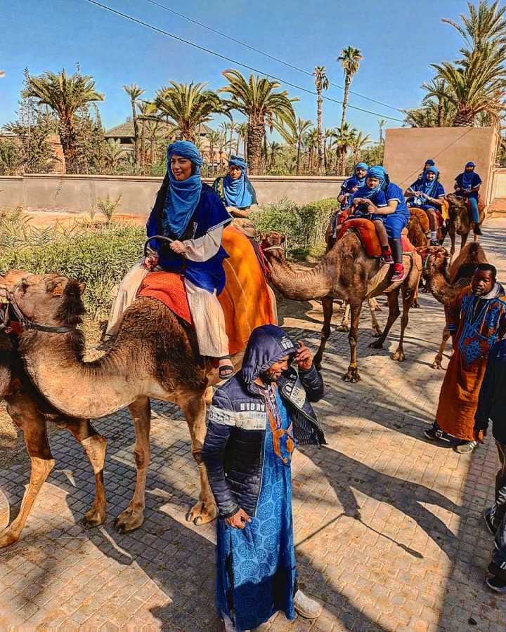 Paseo en camello en la Palmeraie de Marrakech