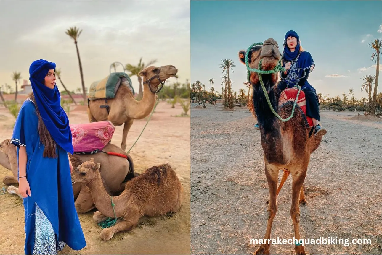 Paseo en camello en el Palmeral de Marrakech