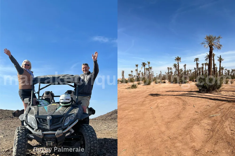 Aventura en buggy en el Palmeral