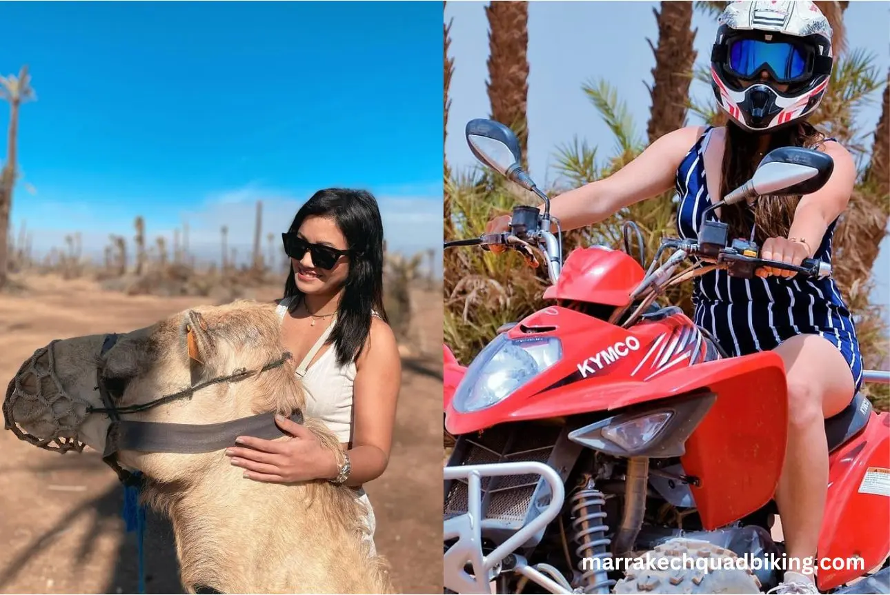 Quad y paseo en camello en el Palmeral