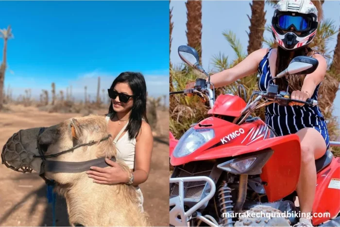 quad biking and camel ride in palm Grove marrakech
